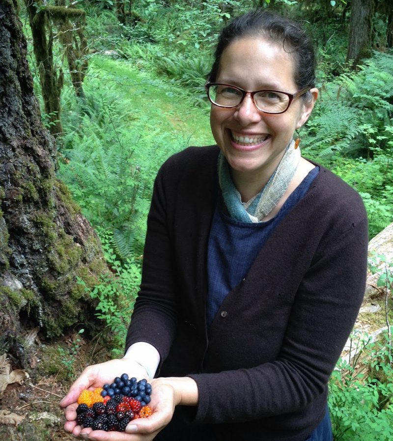 Real Red, True Blue & Fast Yellows Using Ancient Natural Dyes to