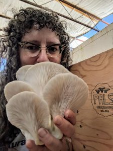 Intro to Oyster Mushroom Cultivation and Wild Mushroom Foray