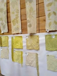 After-School Workshop: YELLOW LIKE THE SUN with Iris Sullivan @ Sou'Wester Arts & Ecology Center