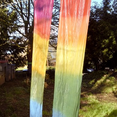 Explorations in Natural Dye with Iris Sullivan @ Sou'wester Lodge